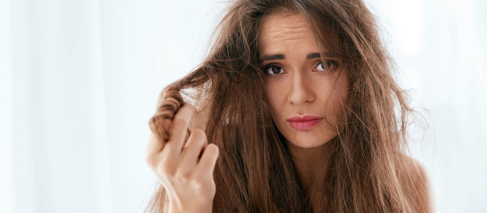 Best Ingredients for Dry Damaged Hair — What Actually Repairs It