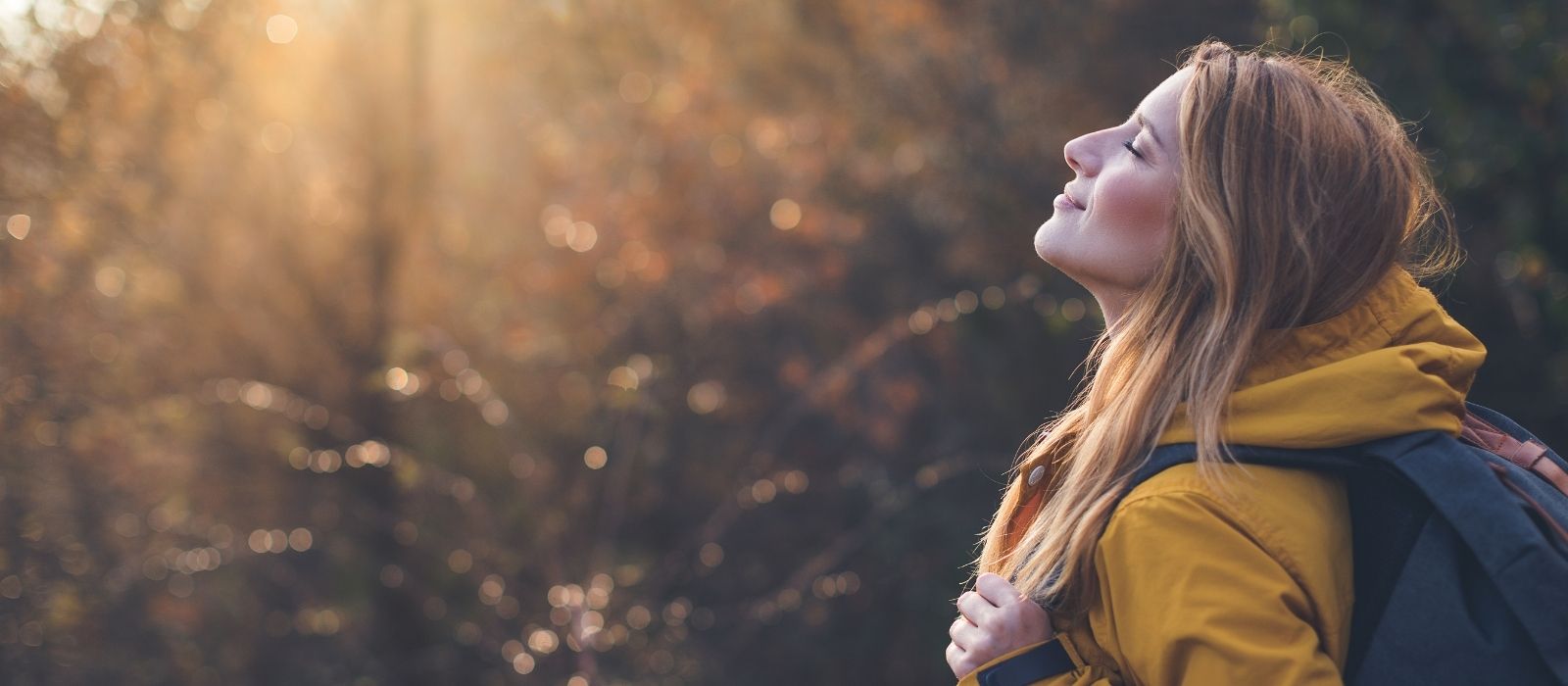 Nature and Mental Health — What the Research Actually Shows