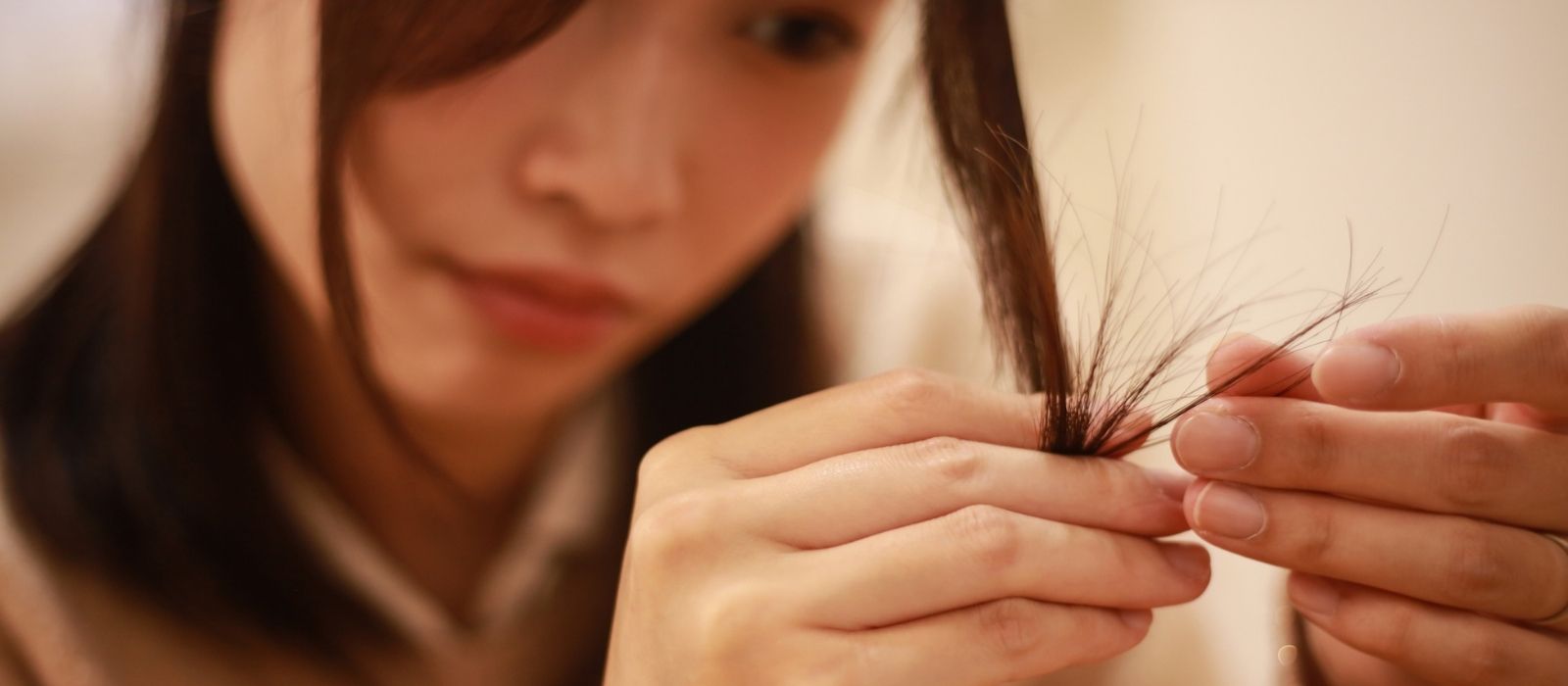 split ends hair care natural hair moisture